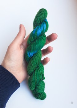 I'm Lichen It Mini Skein